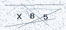 CAPTCHA verification code