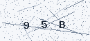 CAPTCHA verification code