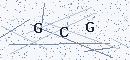 CAPTCHA verification code