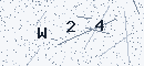 CAPTCHA verification code
