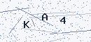 CAPTCHA verification code