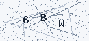 CAPTCHA verification code